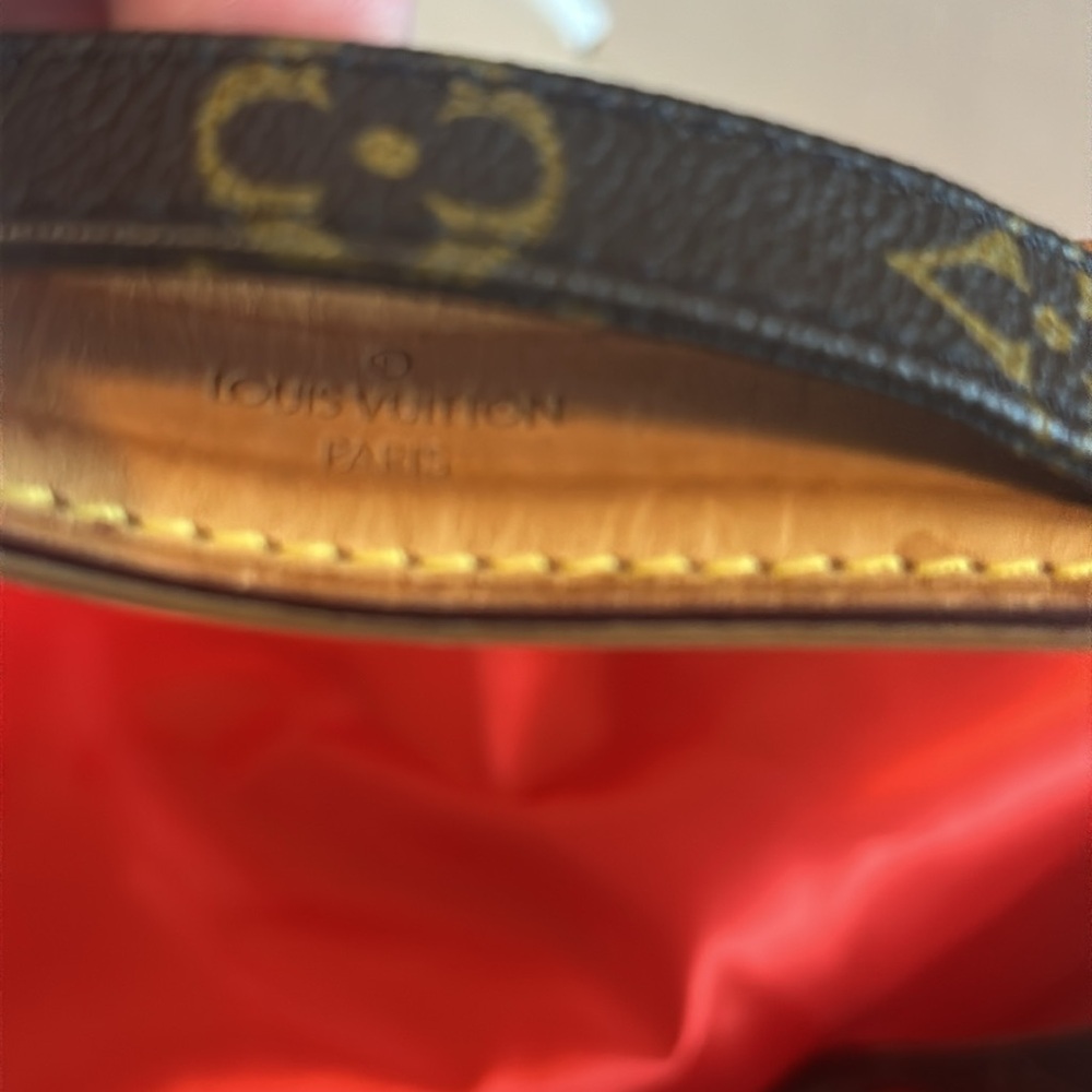Louis Vuitton Vintage Amazon Crossbody. EVC plus LV dust bag FLASH SALE - Picture 9 of 16